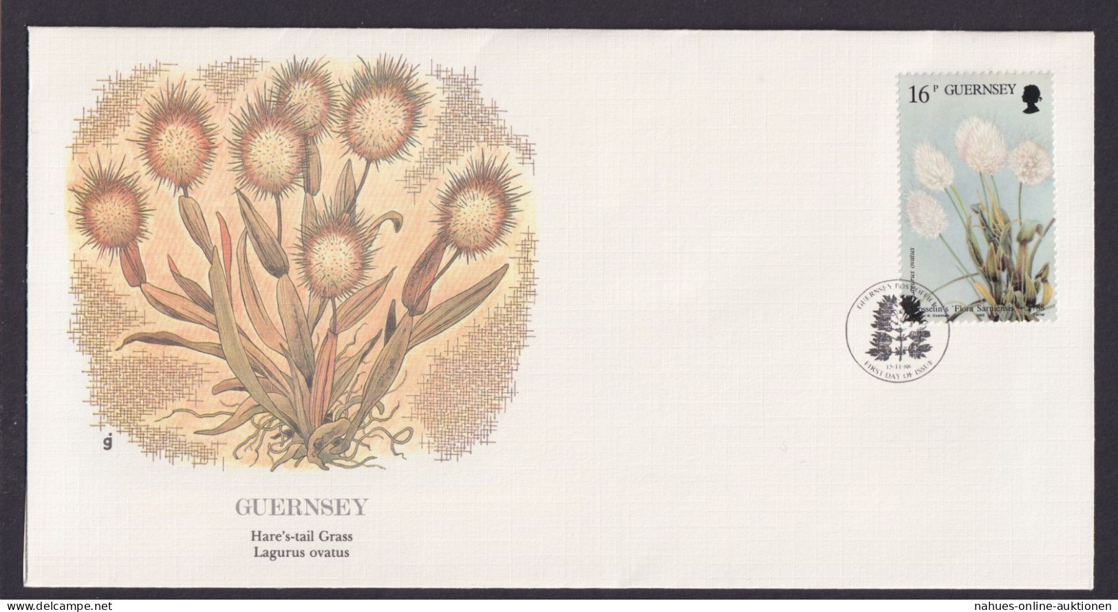 Guersney Kanalinsel Europa Flora Hasenschwanz Gras Schöner Künstler Brief - Guernsey