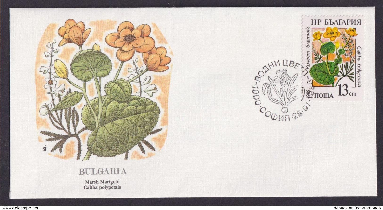 Bulgarie Bulgarien Europa FloraCalthas Blumenblätter Schöner Künstler Brief - Fidji (1970-...)