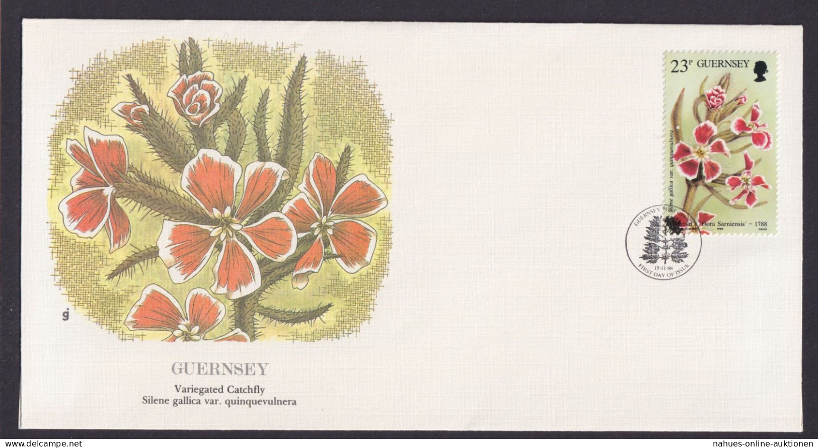 Guersney Kanalinsel Europa Flora Silene Fliegenfänger Schöner Künstler Brief - Guernsey