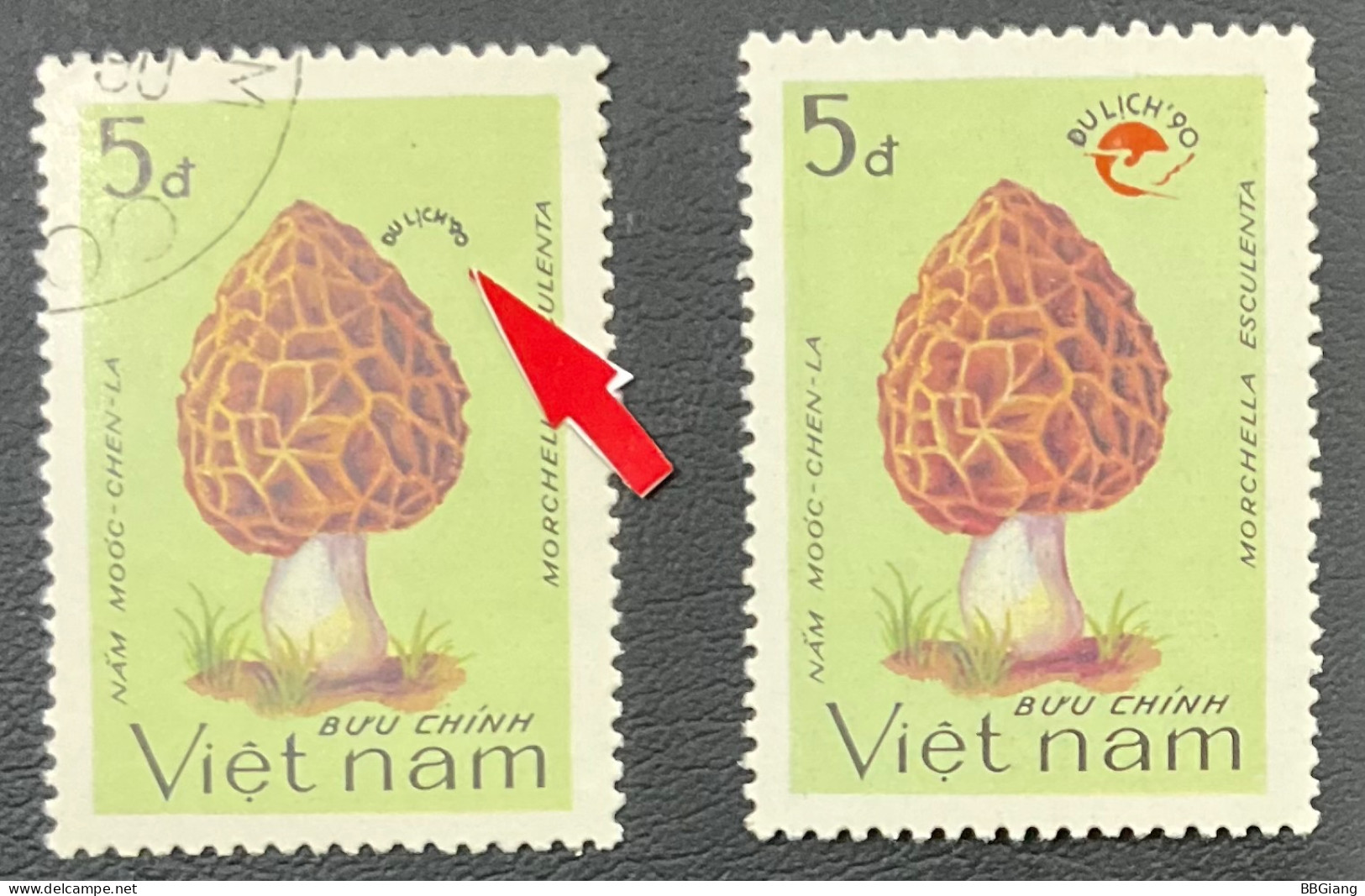 Vietnam Error Stamps, Mushroom, Missing Red Logo. - Viêt-Nam