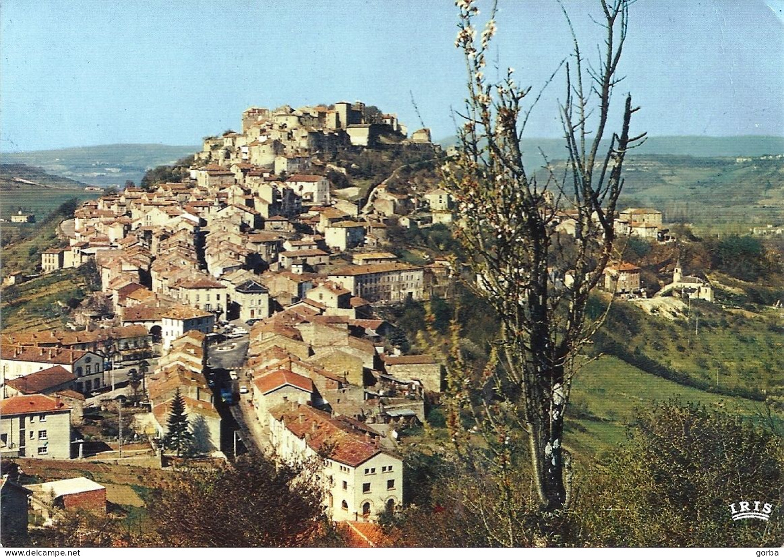 *CPM - 81 - CORDES EN ALBIGEOIS - Vue Générale - Cordes