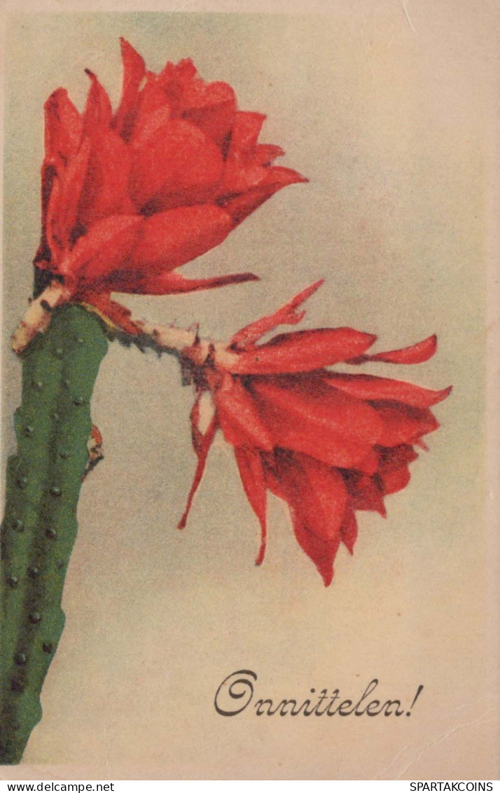 FLOWERS Vintage Ansichtskarte Postkarte CPA #PKE566.DE - Fleurs