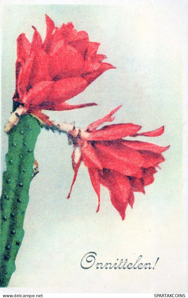 FLOWERS Vintage Ansichtskarte Postkarte CPA #PKE566.DE - Fleurs