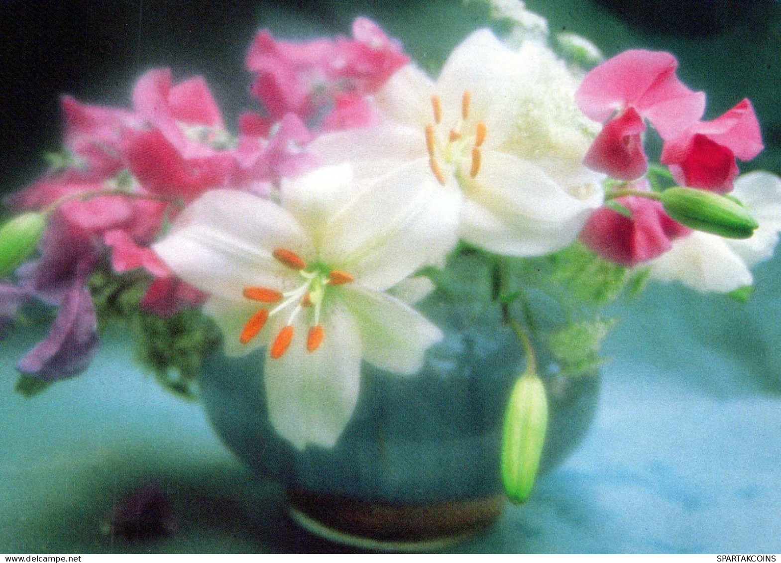 FLOWERS Vintage Ansichtskarte Postkarte CPSM #PBZ692.DE - Blumen