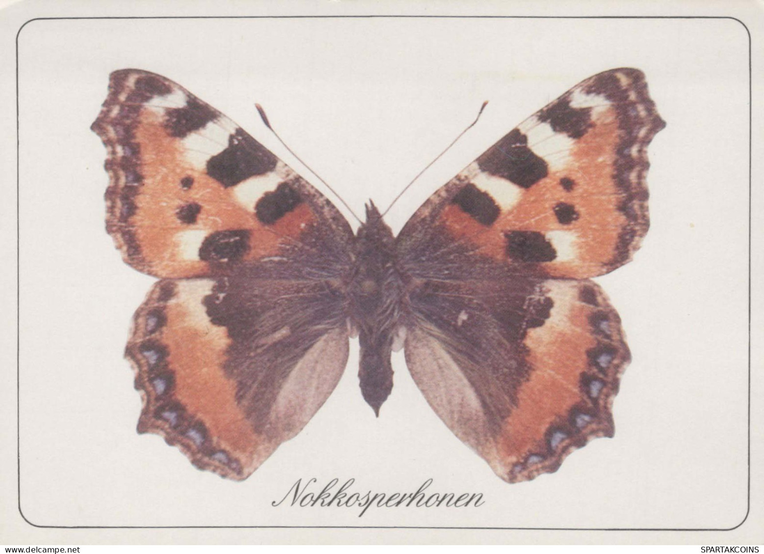 SCHMETTERLINGE Tier Vintage Ansichtskarte Postkarte CPSM #PBS419.DE - Butterflies