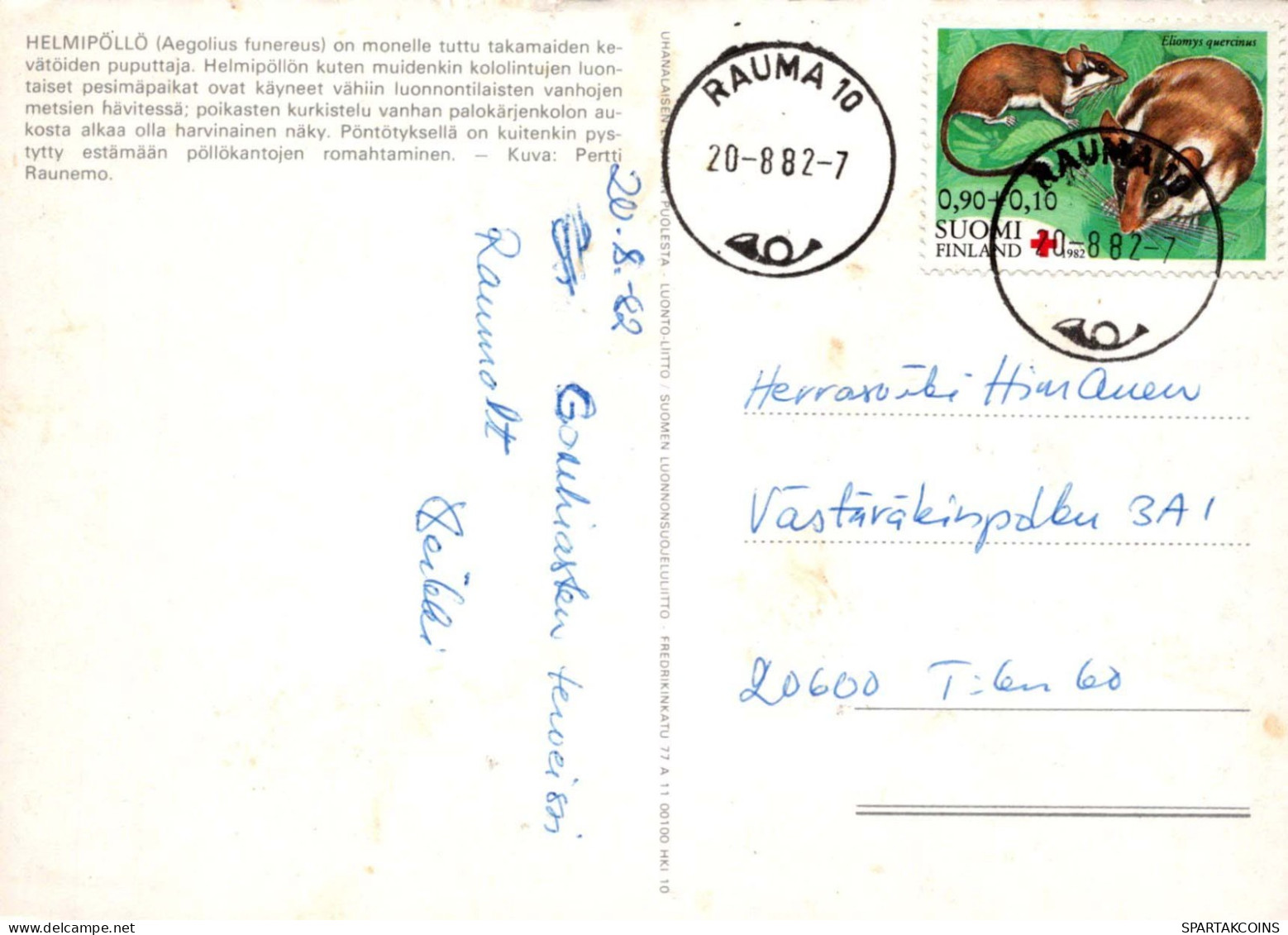 VOGEL Tier Vintage Ansichtskarte Postkarte CPSM #PBR693.DE - Uccelli