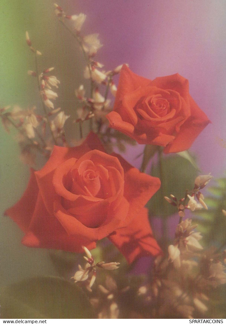 FLOWERS Vintage Ansichtskarte Postkarte CPSM #PAS105.DE - Fleurs