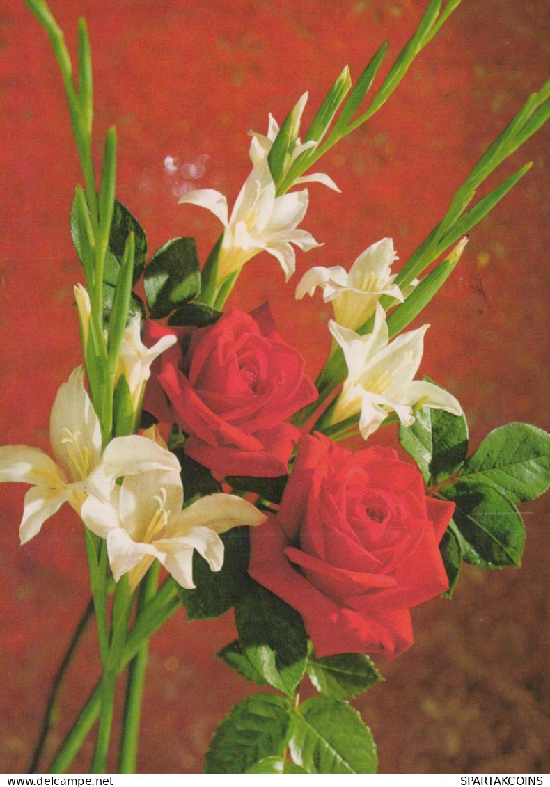 FLOWERS Vintage Ansichtskarte Postkarte CPSM #PAS045.DE - Fleurs