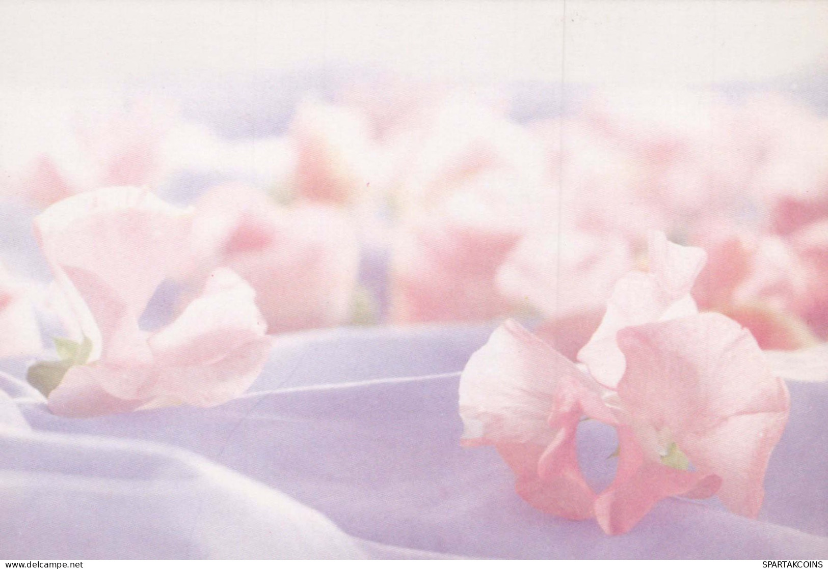 FLOWERS Vintage Ansichtskarte Postkarte CPSM #PAR323.DE - Fleurs