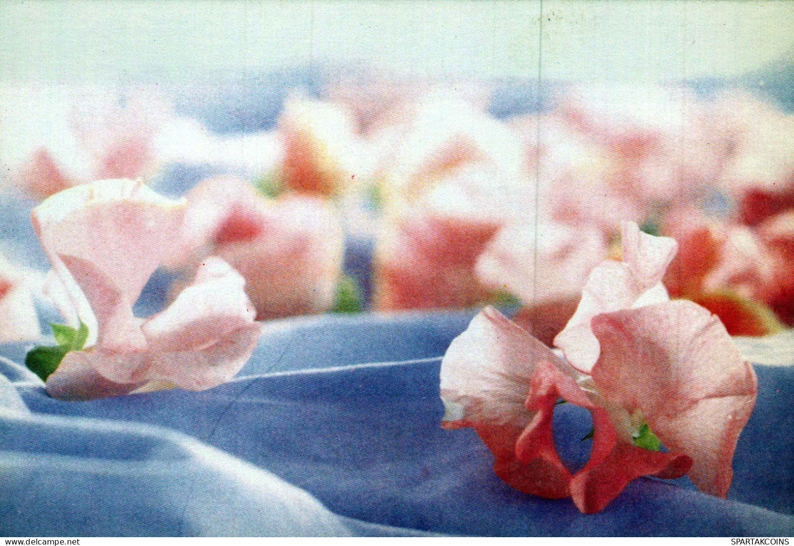 FLOWERS Vintage Ansichtskarte Postkarte CPSM #PAR323.DE - Fleurs