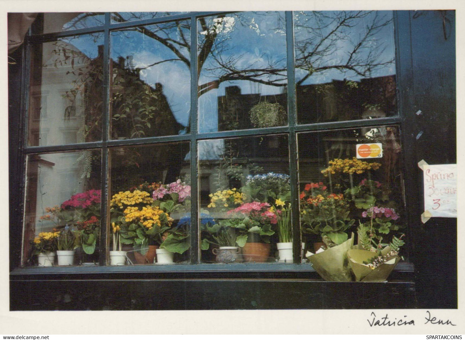 FLOWERS Vintage Ansichtskarte Postkarte CPSM #PAR624.DE - Fiori