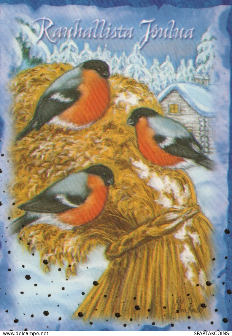 VOGEL Tier Vintage Ansichtskarte Postkarte CPSM #PAM876.DE - Oiseaux