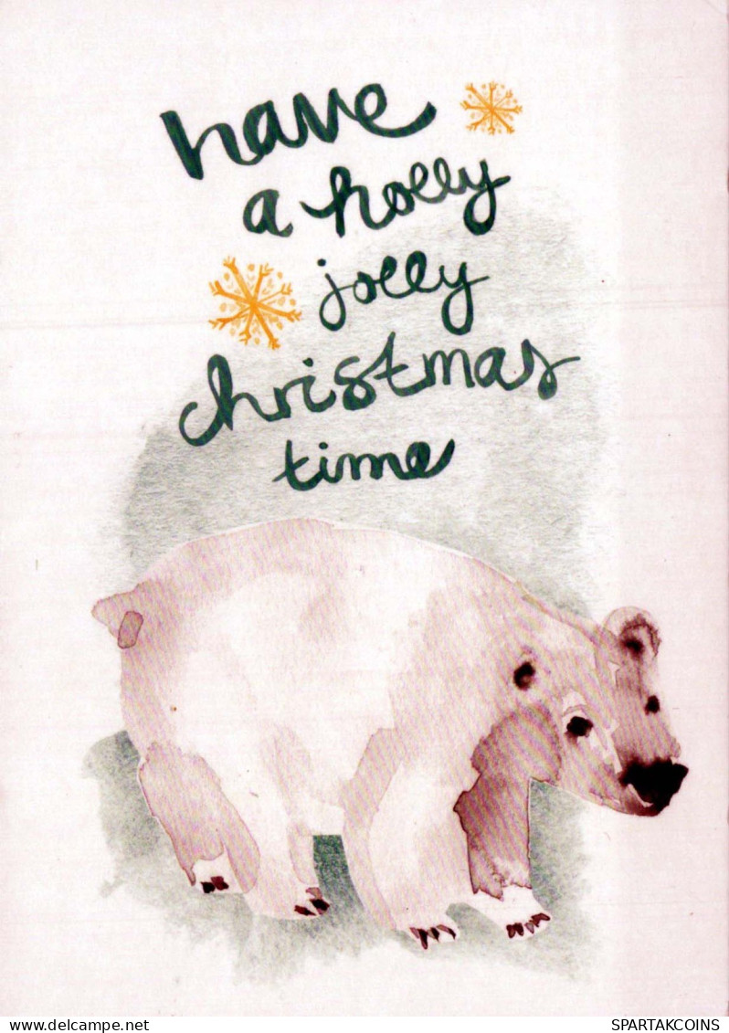 OSO Animales Vintage Tarjeta Postal CPSM #PBS104.ES - Bears