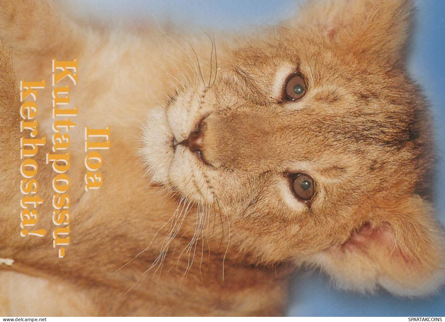 LEÓN Animales Vintage Tarjeta Postal CPSM #PBS039.ES - Lions