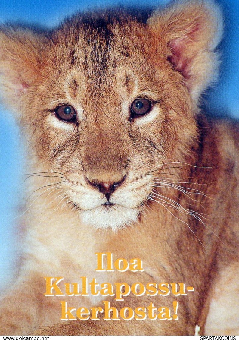 LEÓN Animales Vintage Tarjeta Postal CPSM #PBS039.ES - Lions