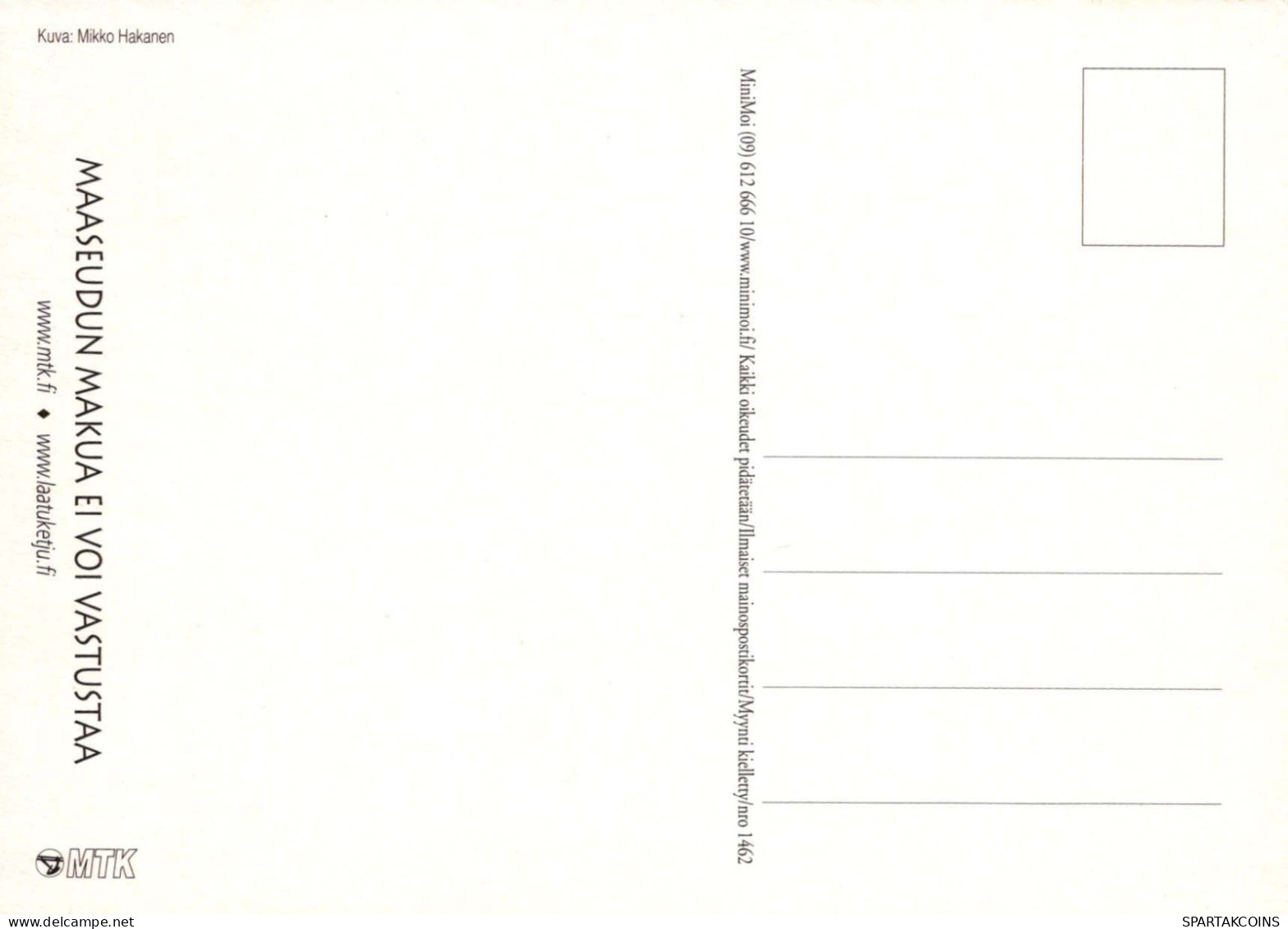 VACA Animales Vintage Tarjeta Postal CPSM #PBR815.ES - Koeien