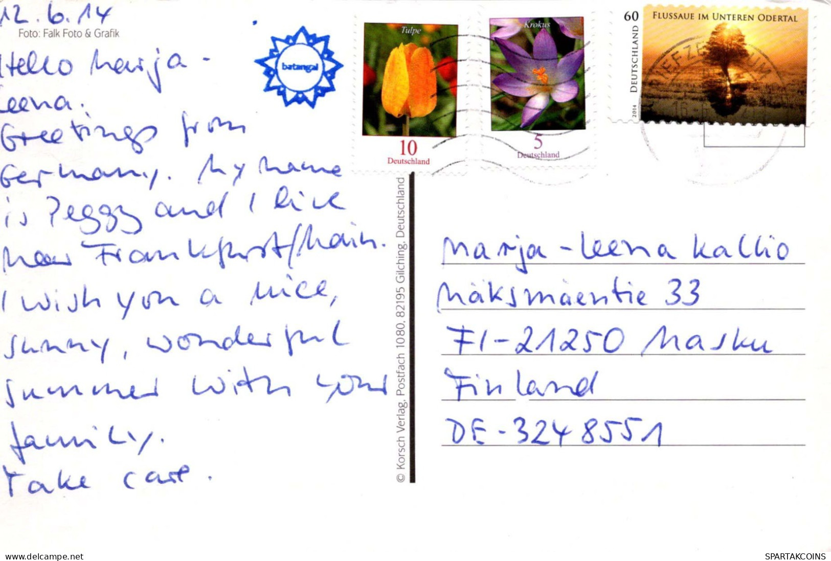 CONEJO Animales Vintage Tarjeta Postal CPSM #PBR038.ES - Sonstige & Ohne Zuordnung