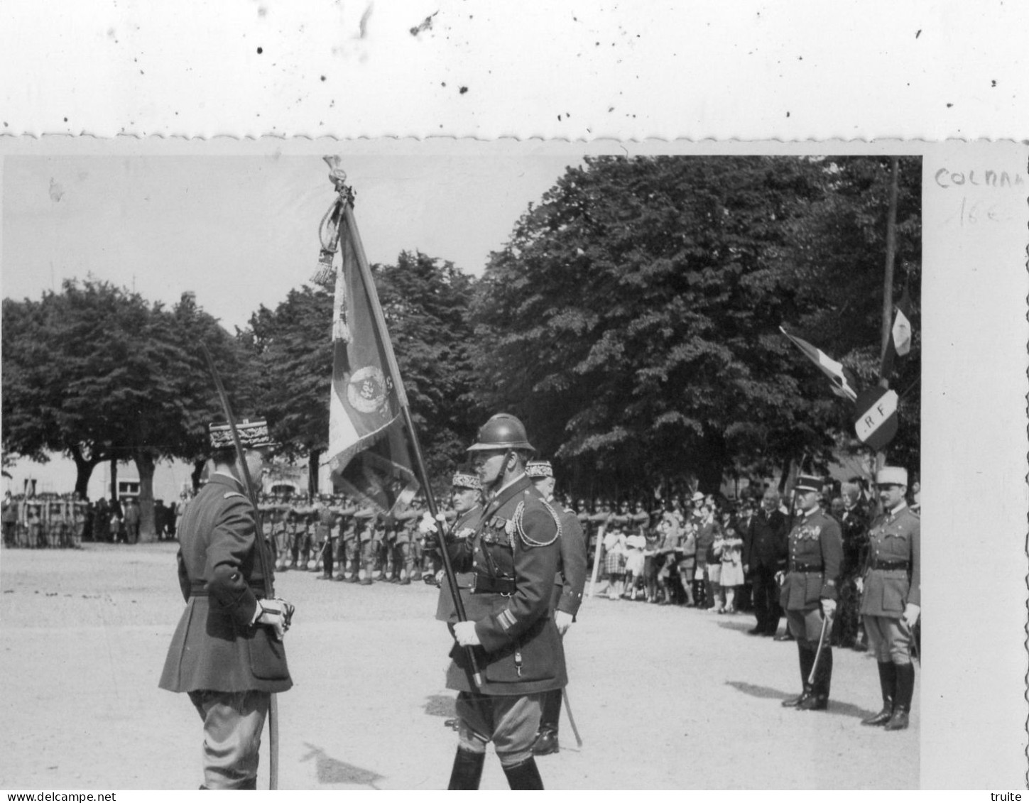 COLMAR EVENEMENT MILITAIRE ( DRAPEAUX  ) CARTE PHOTO - Colmar