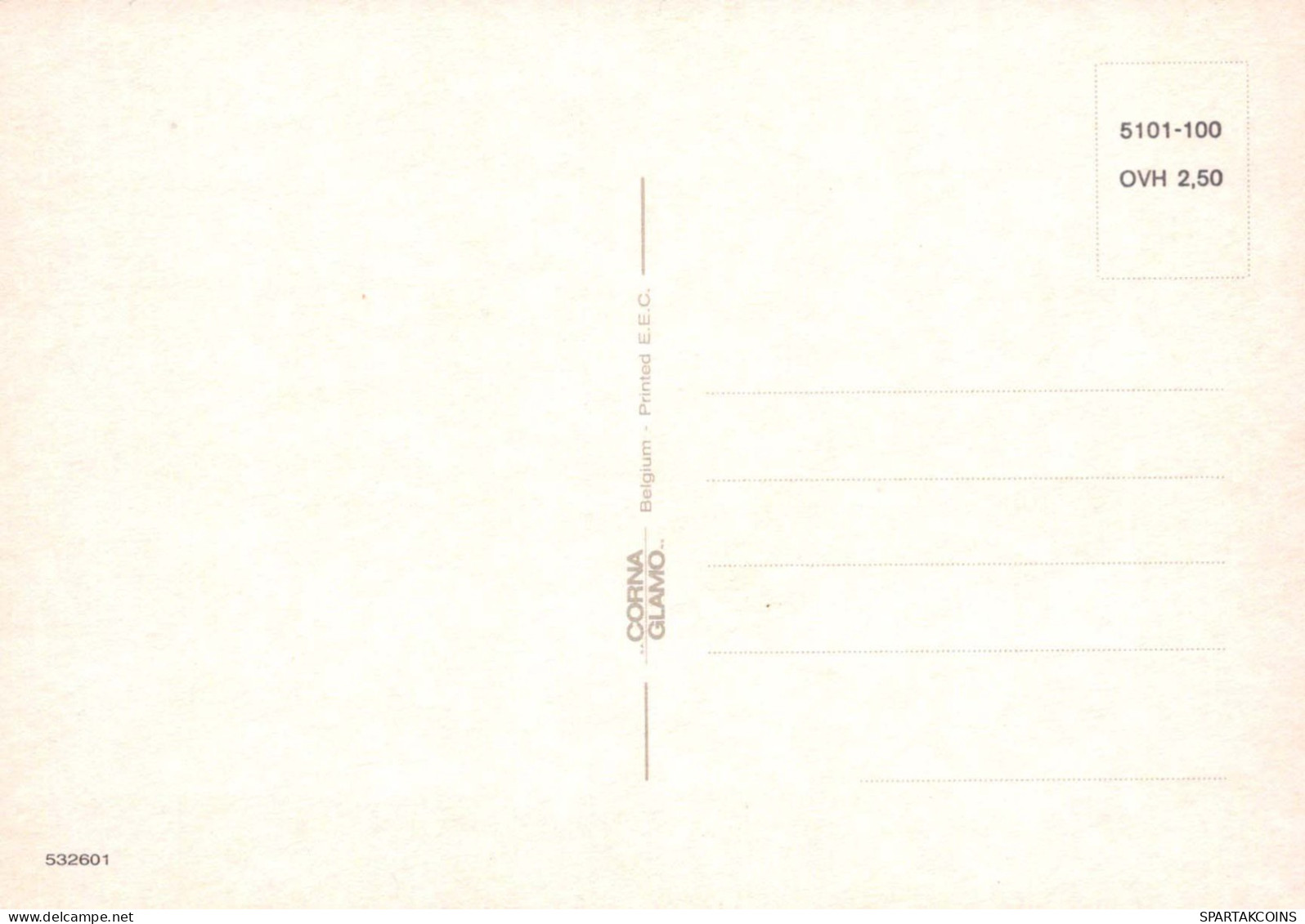 FLORES Vintage Tarjeta Postal CPSM #PAS043.ES - Fleurs