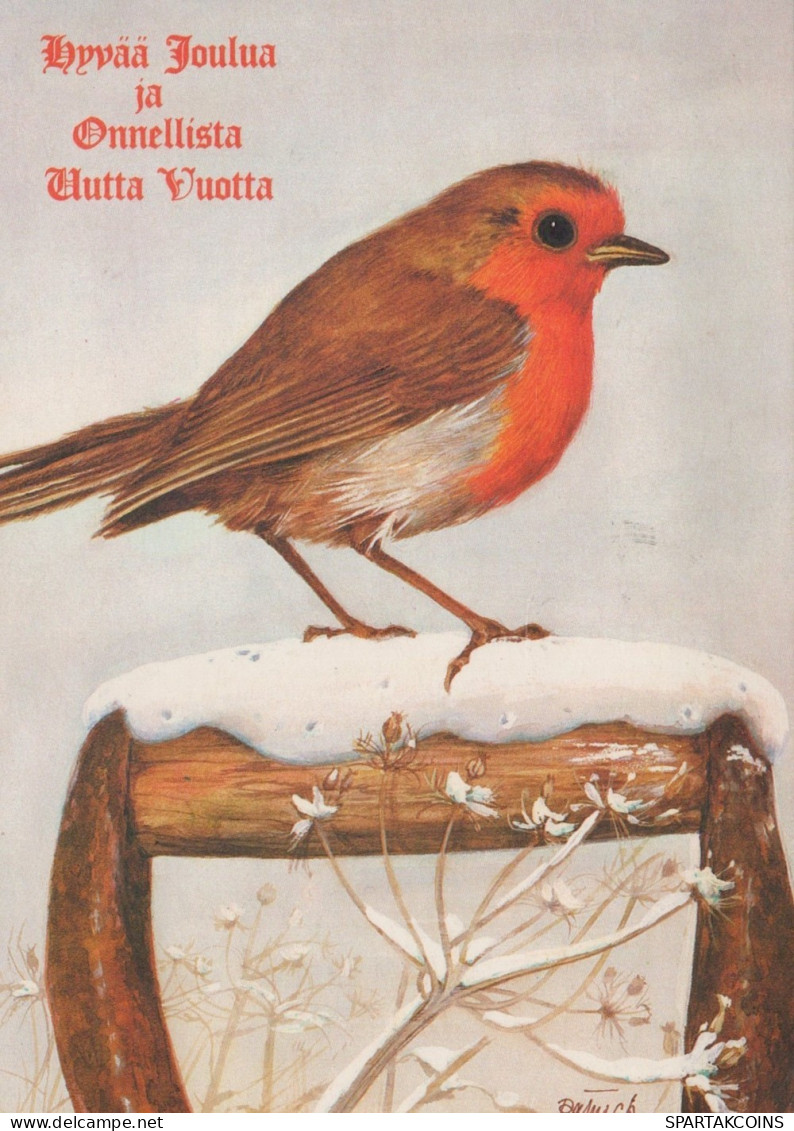 PÁJARO Animales Vintage Tarjeta Postal CPSM #PAN061.ES - Birds