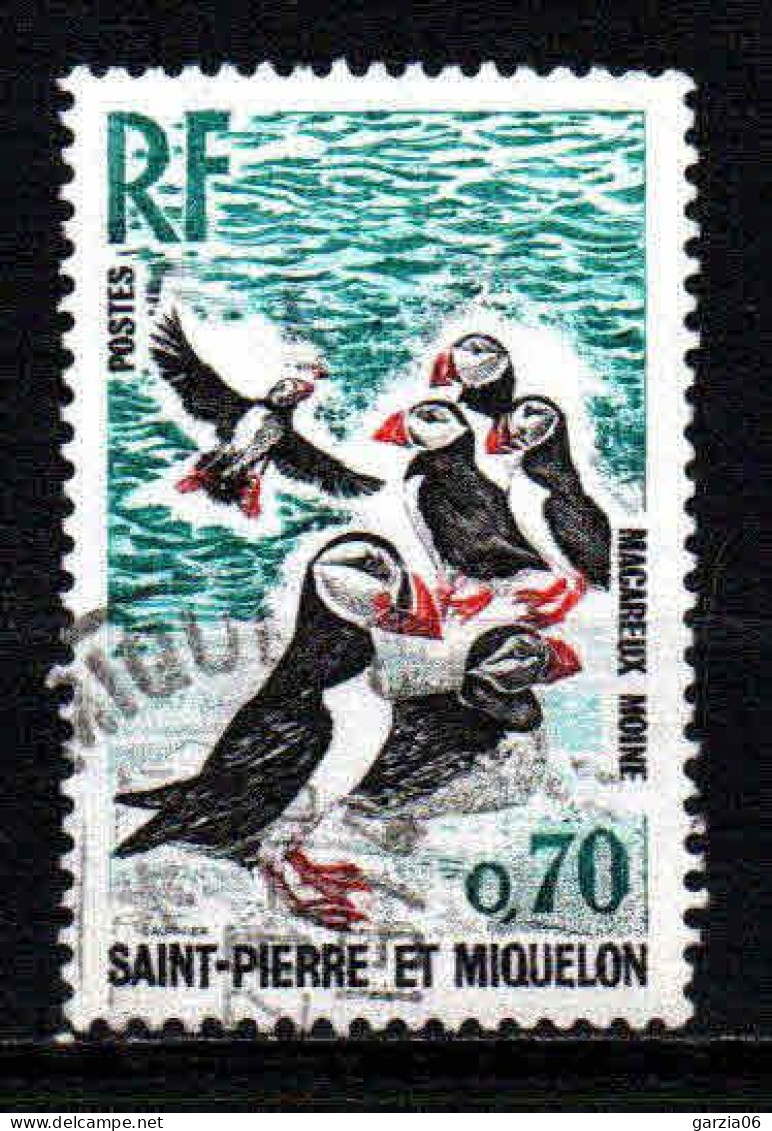 St Pierre Et Miquelon  - 1973  - Oiseaux  - N° 429 - Oblit - Used - Usati