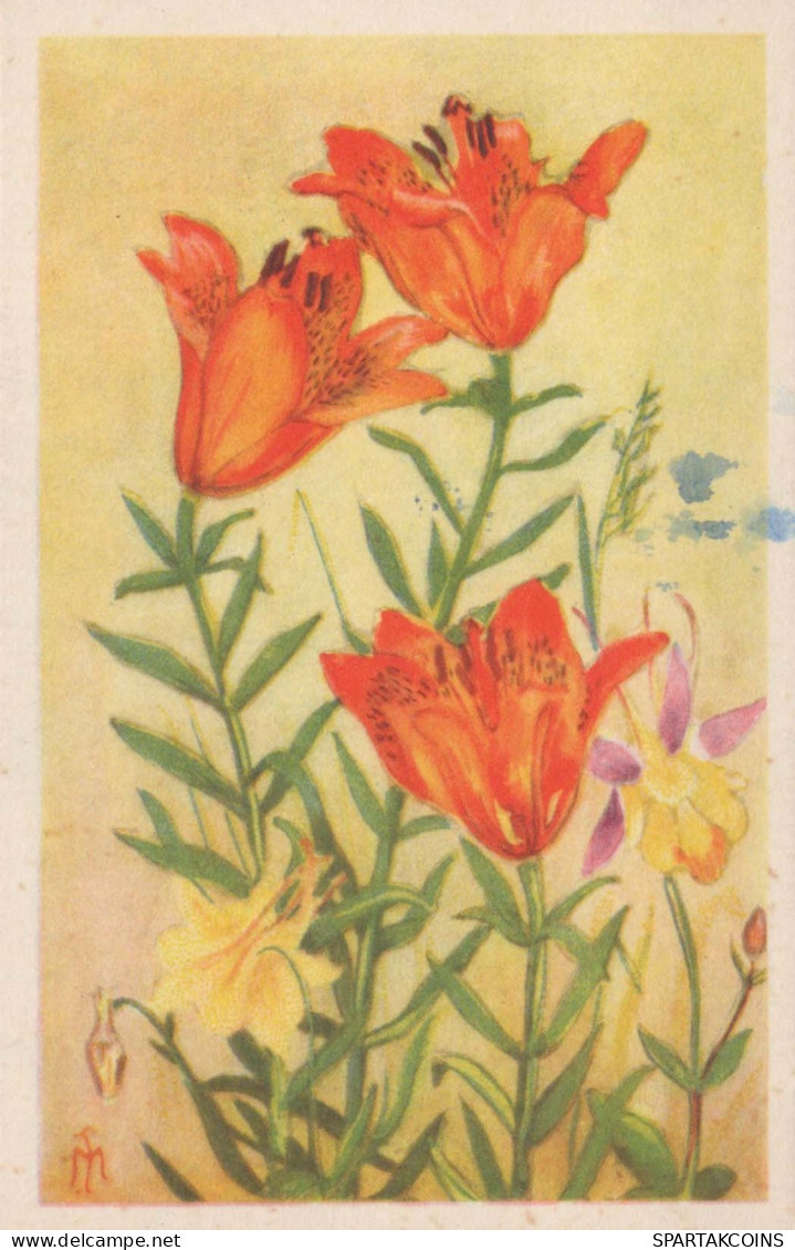FLEURS Vintage Carte Postale CPA #PKE687.FR - Fleurs