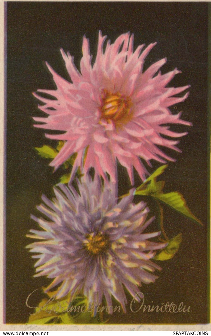 FLEURS Vintage Carte Postale CPA #PKE565.FR - Fleurs