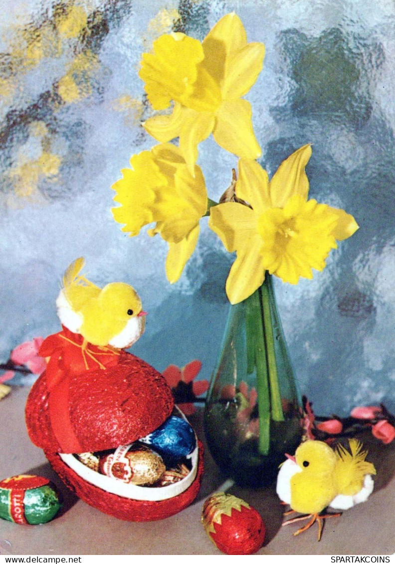 PÂQUES POULET ŒUF Vintage Carte Postale CPSM #PBO739.FR - Easter