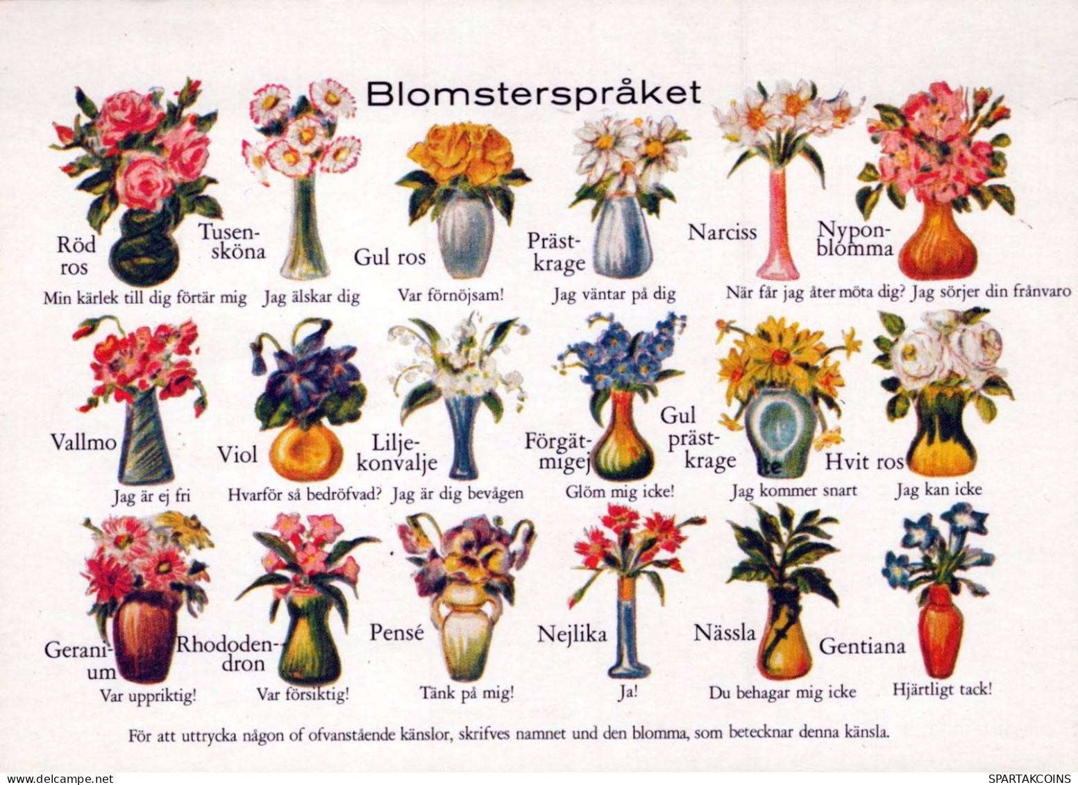 FLEURS Vintage Carte Postale CPSM #PAS524.FR - Flowers
