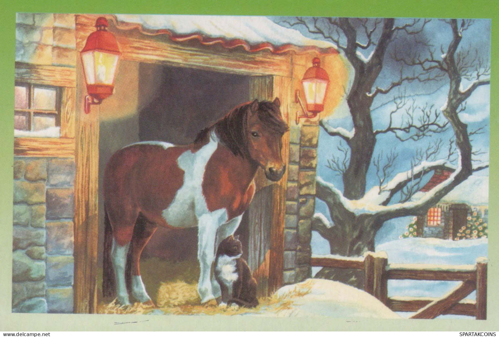 HORSE Animals Vintage Postcard CPA #PKE873.GB - Cavalli