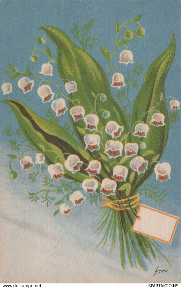 FLOWERS Vintage Postcard CPSMPF #PKG047.GB - Fleurs