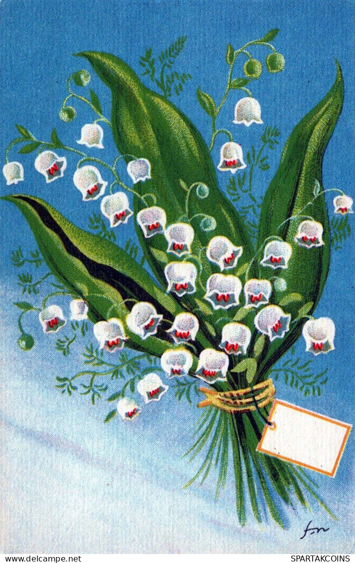 FLOWERS Vintage Postcard CPSMPF #PKG047.GB - Fleurs