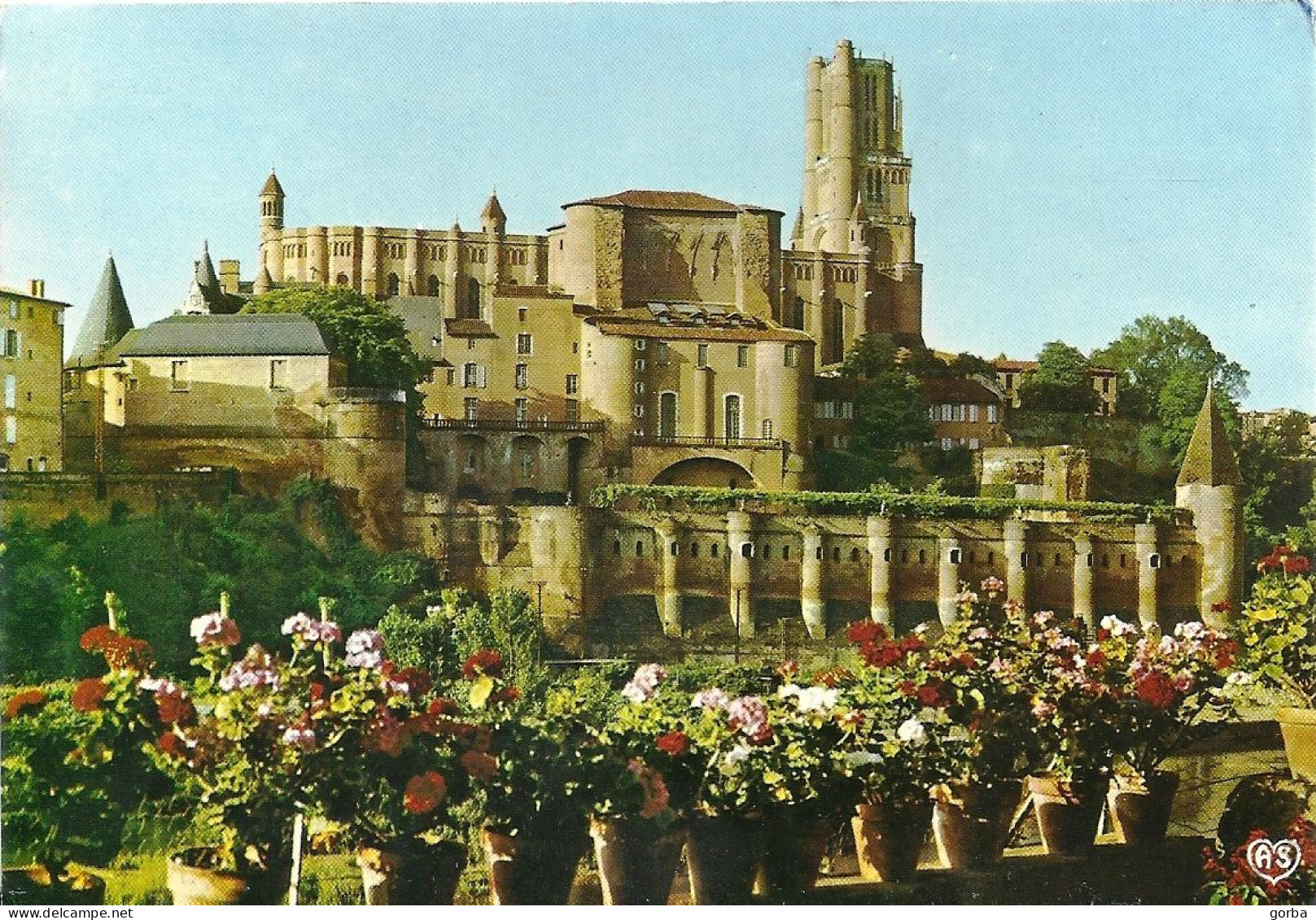 *CPM - 81 - ALBI - L'ancien Palais Archiépiscopal De La Berbie Et La Basilique Sainte-Cécile - Albi