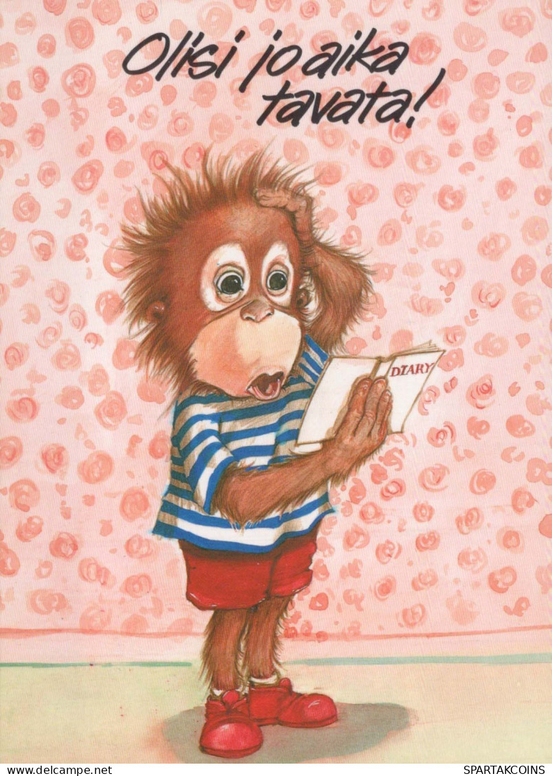 MONKEY Animals Vintage Postcard CPSM #PBR966.GB - Monkeys