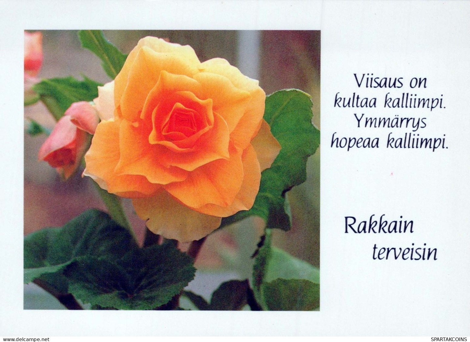 FLOWERS Vintage Postcard CPSM #PAS342.GB - Fiori