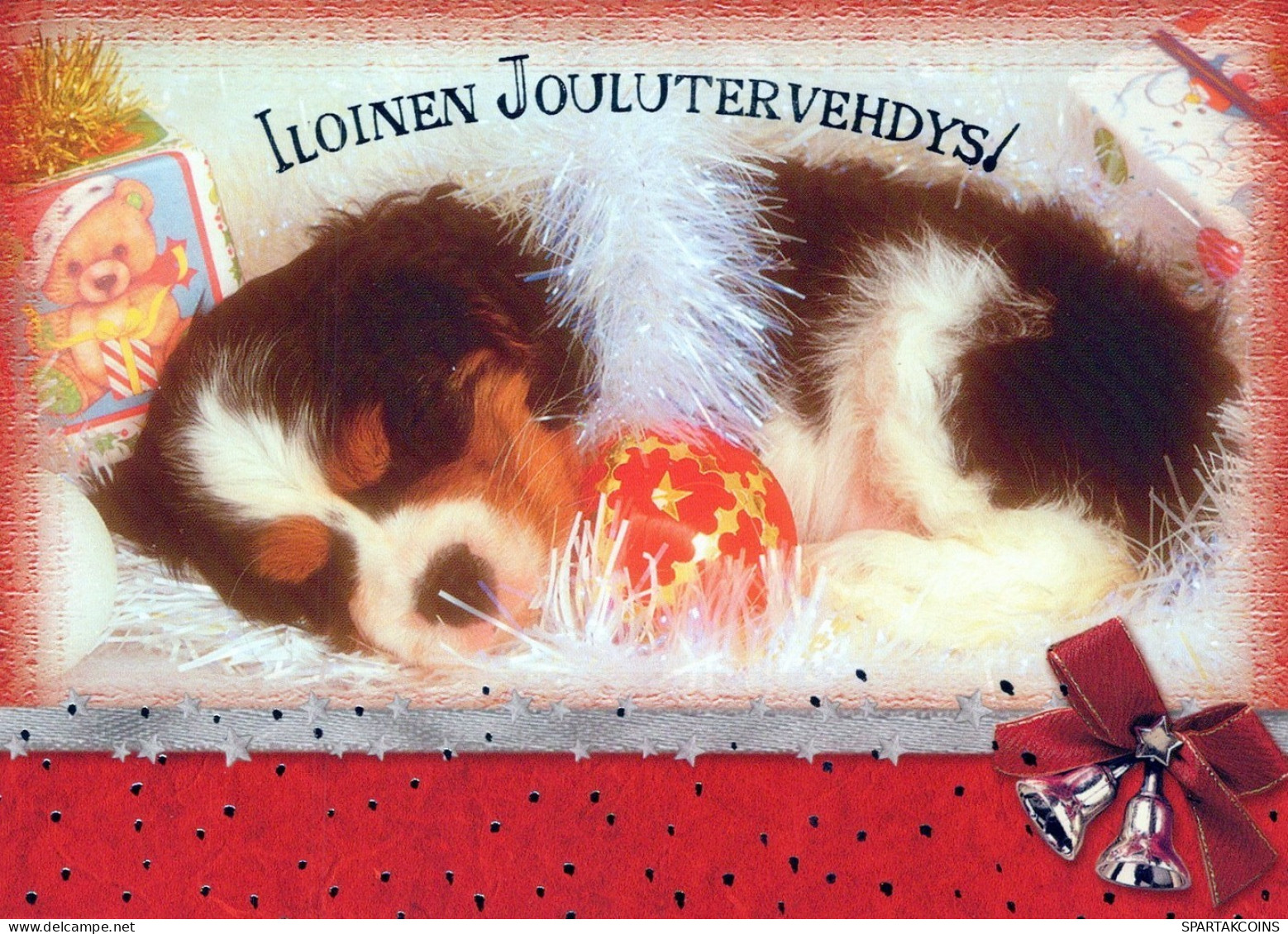 DOG Animals Vintage Postcard CPSM #PAN495.GB - Hunde