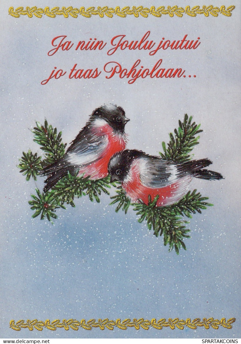 BIRD Animals Vintage Postcard CPSM Unposted #PAM999.GB - Vogels