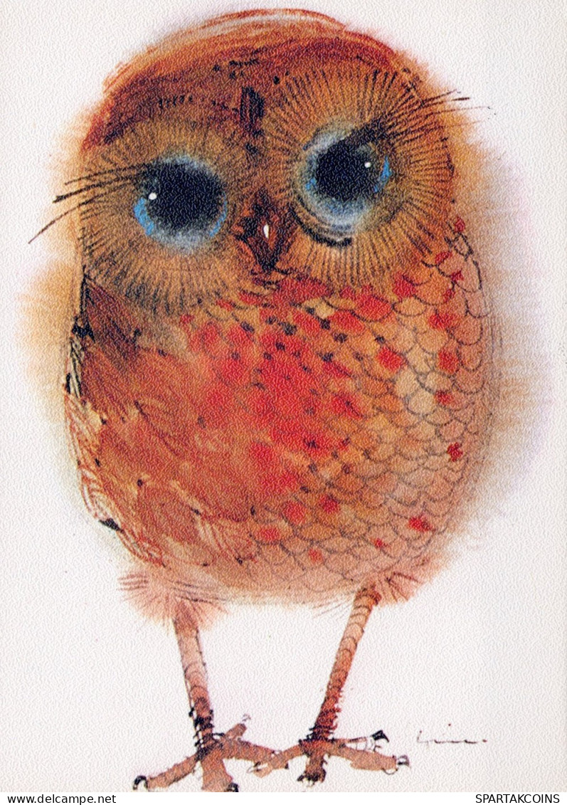 BIRD Animals Vintage Postcard CPSM #PAM687.GB - Vogels