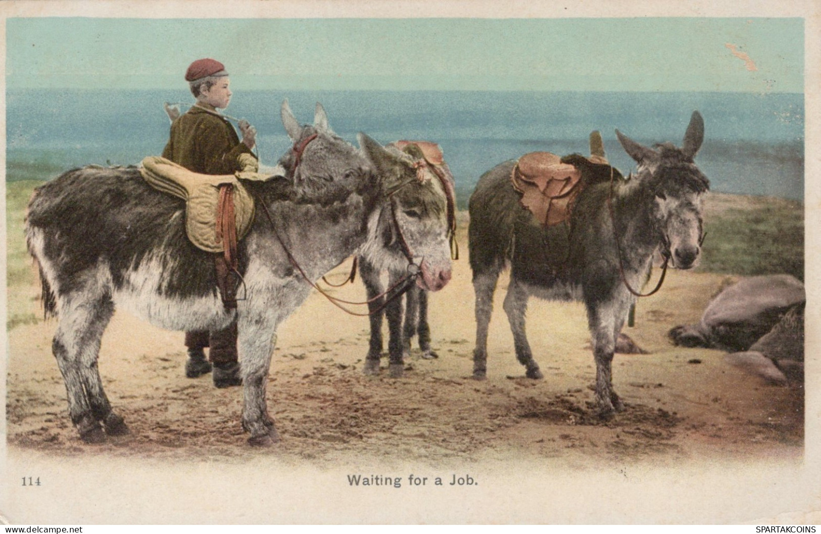 ÂNE Animaux Enfants Vintage Antique CPA Carte Postale #PAA331.FR - Donkeys