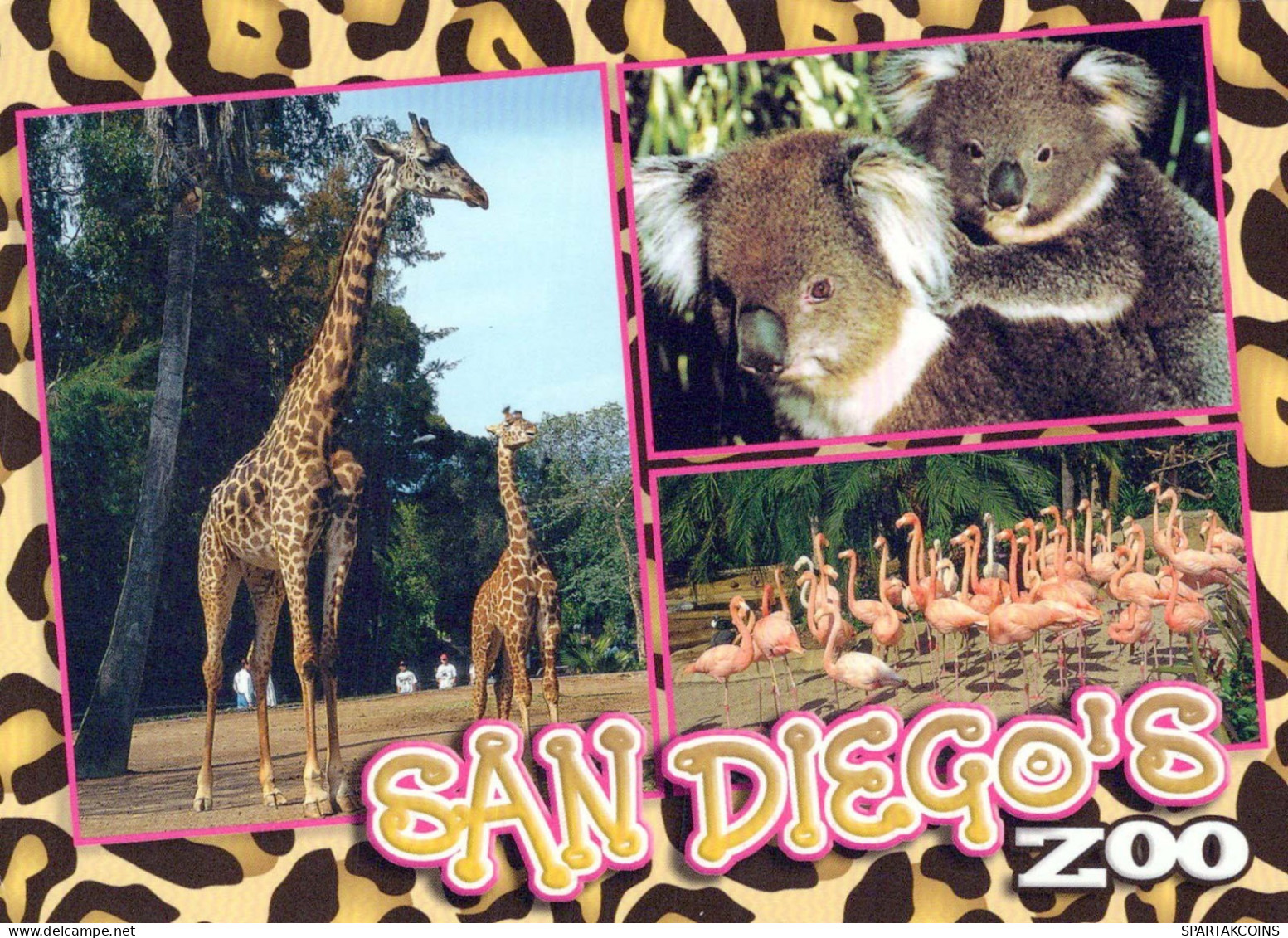 GIRAFFE Animale Vintage Cartolina CPSM #PBS945.IT - Giraffen