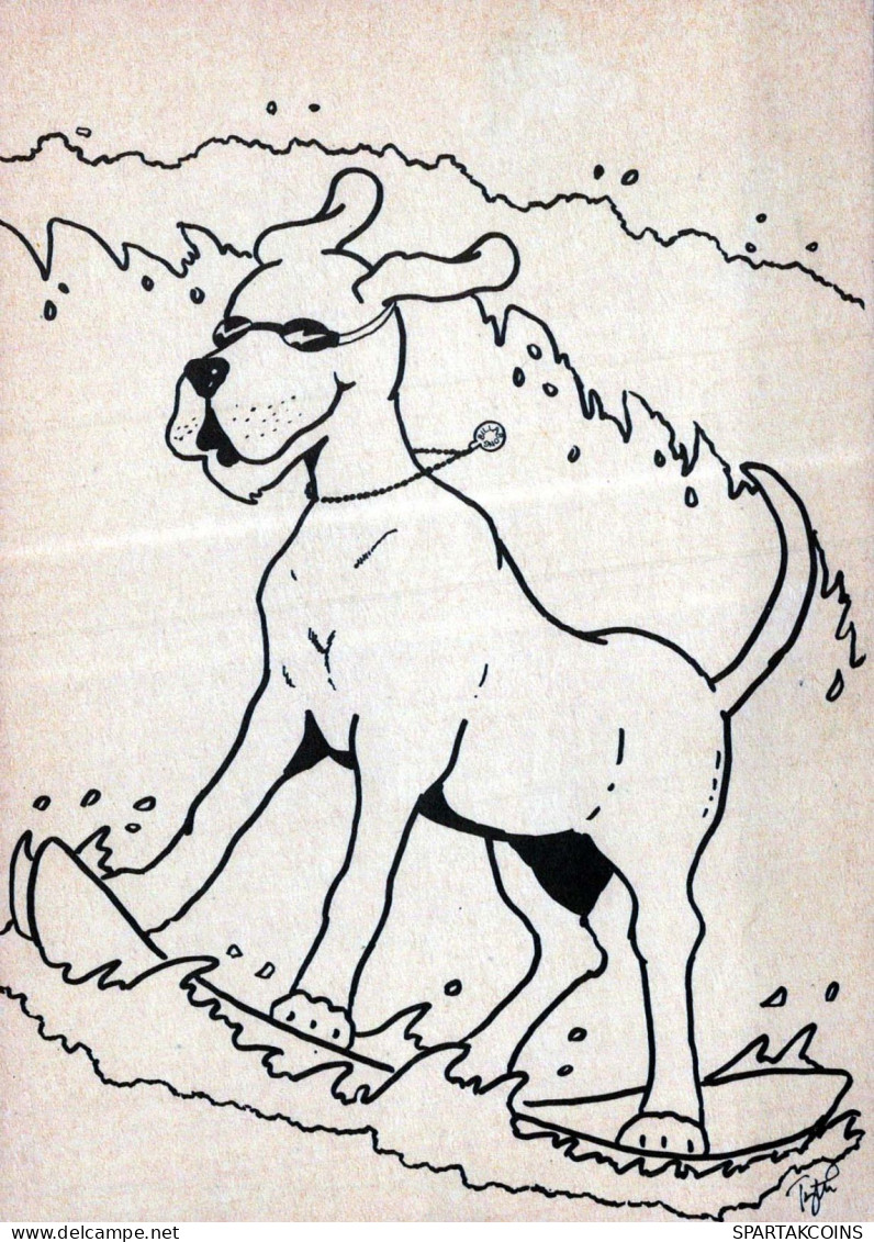 CANE Animale Vintage Cartolina CPSM #PBQ388.IT - Hunde