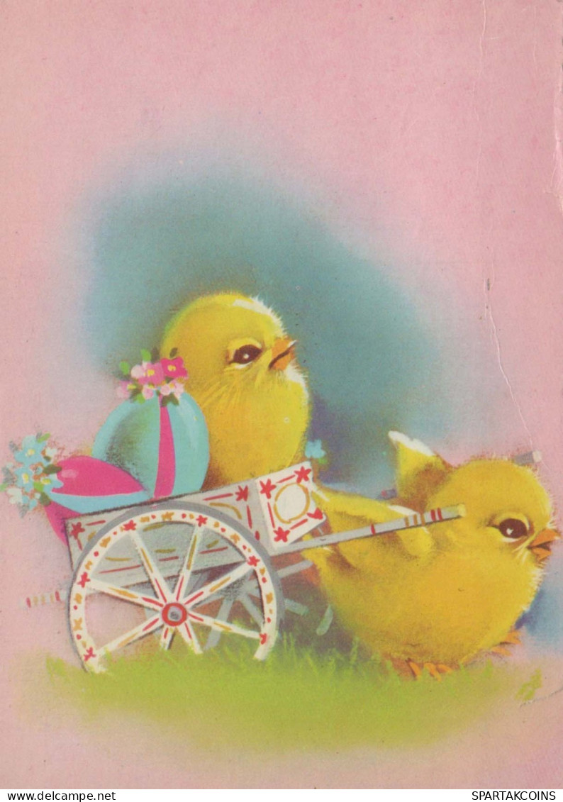 PASQUA POLLO UOVO Vintage Cartolina CPSM #PBO741.IT - Ostern