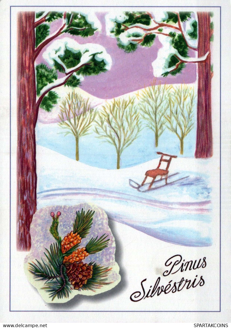 Buon Anno Natale Vintage Cartolina CPSM #PBN248.IT - Neujahr