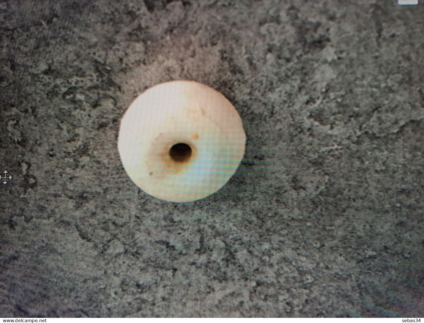 Perle Céramique Grenade Allemande WW2 - Decotatieve Wapens