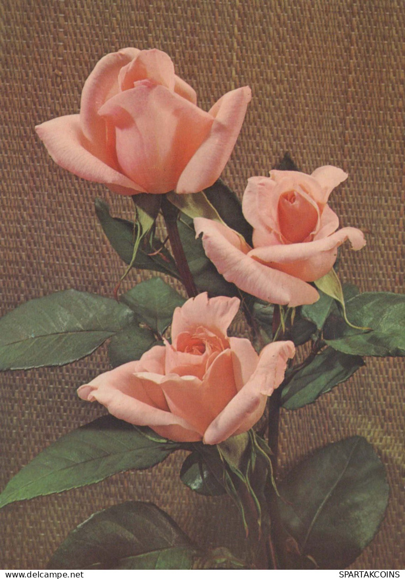 FIORI Vintage Cartolina CPSM #PAR985.IT - Fleurs
