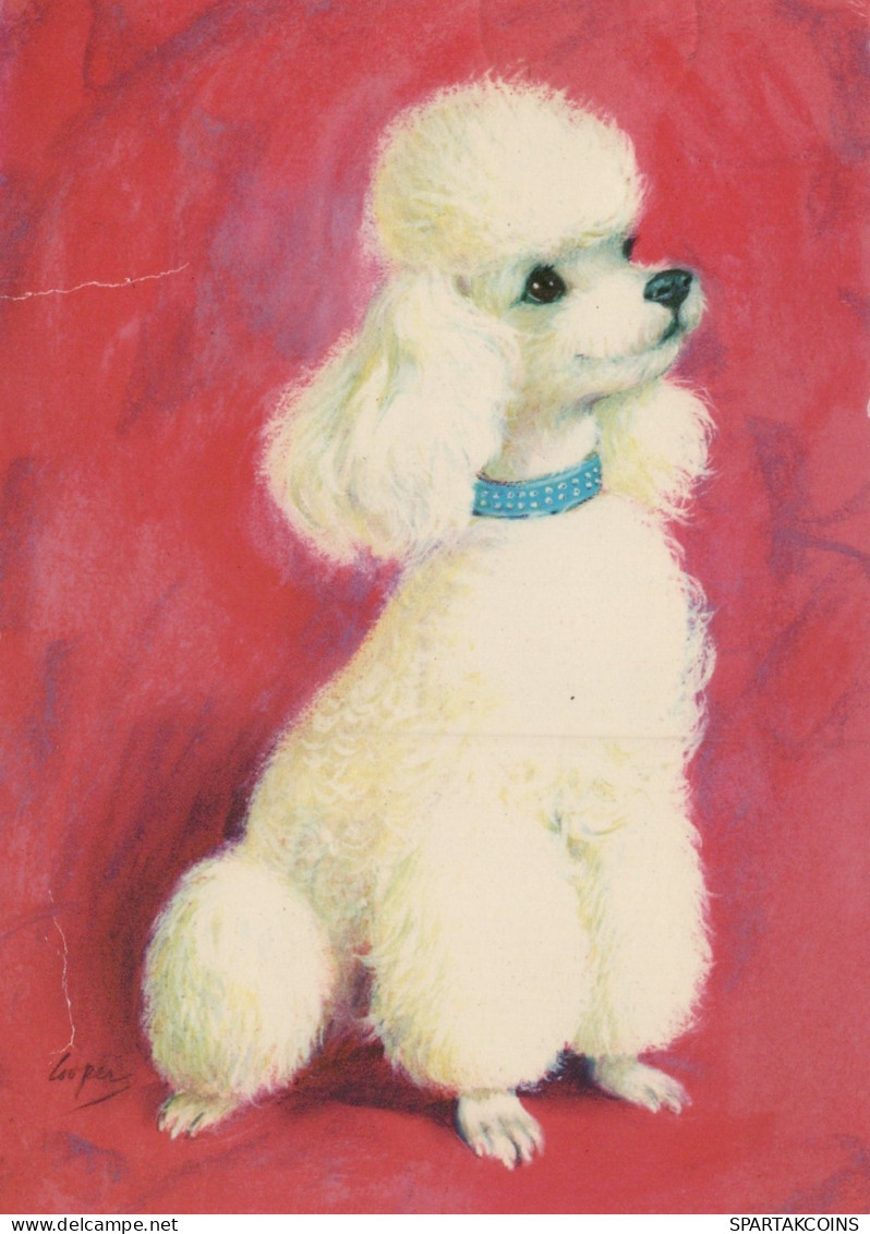 CANE Animale Vintage Cartolina CPSM #PAN828.IT - Honden