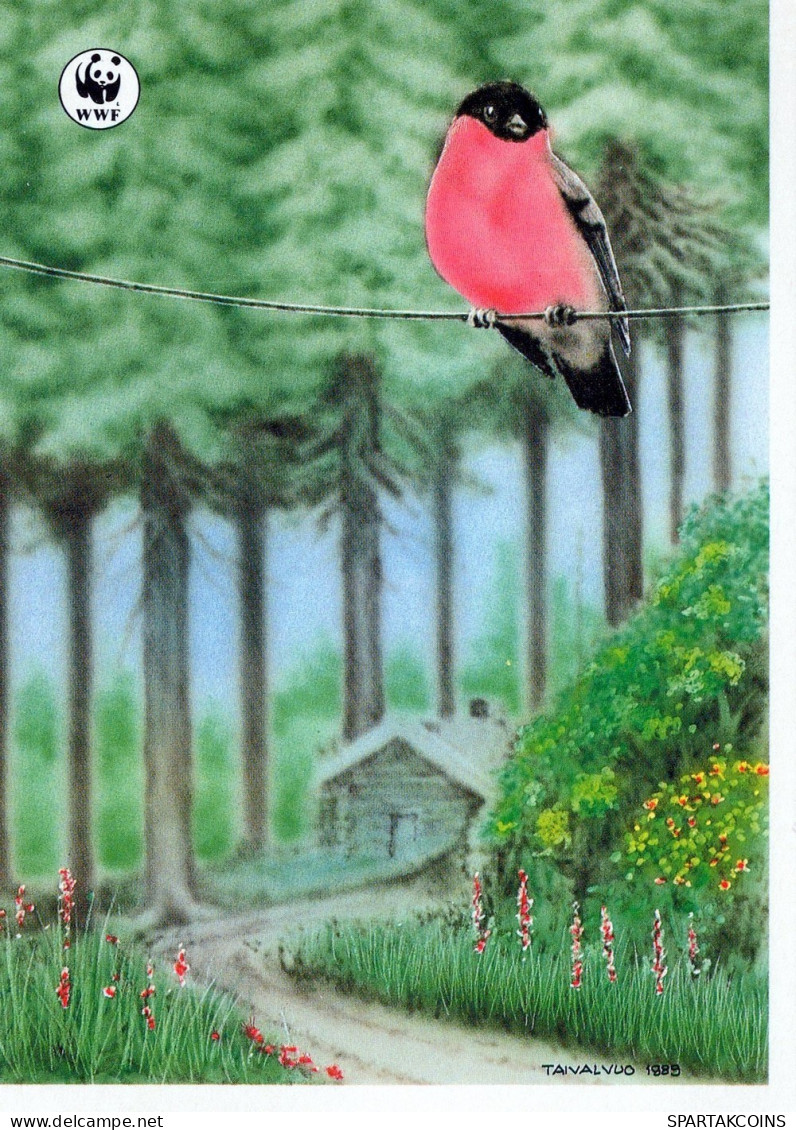 UCCELLO Animale Vintage Cartolina CPSM #PAN124.IT - Vögel