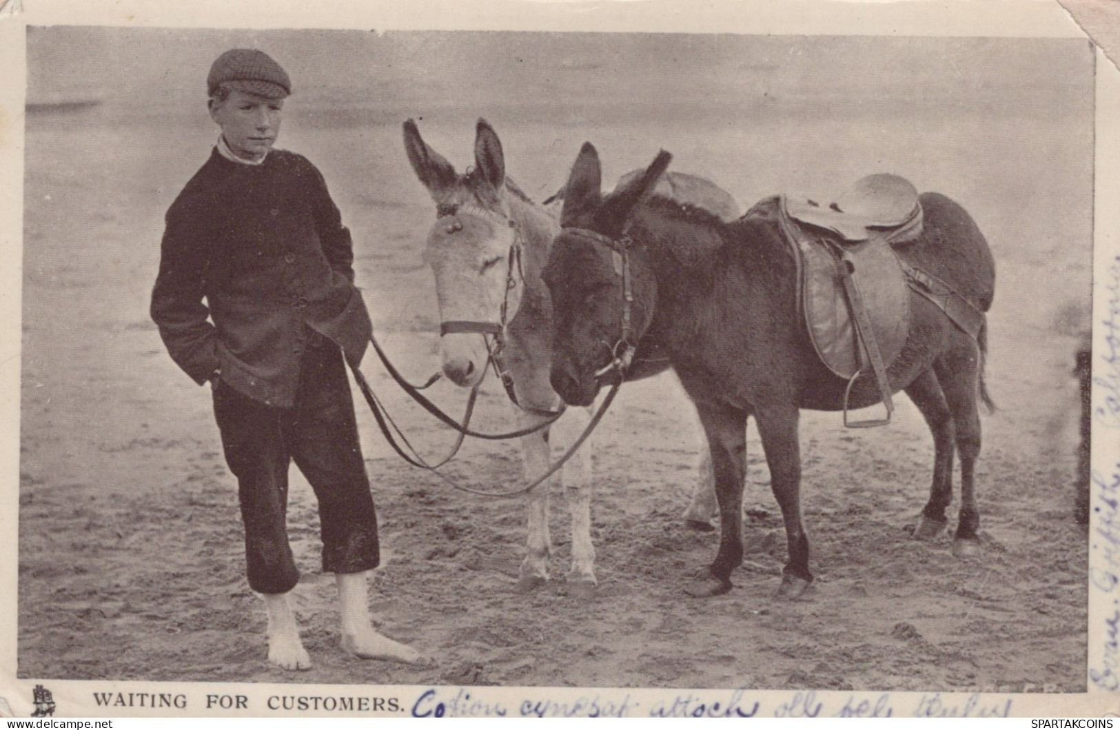 ASINO Animale BAMBINO Vintage CPA Cartolina #PAA333.IT - Donkeys
