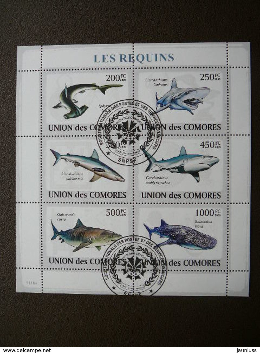 Sharks. Haie. Requins # Comoros 2009 Used S/s #541 Comores Marine Mammals - Sonstige & Ohne Zuordnung