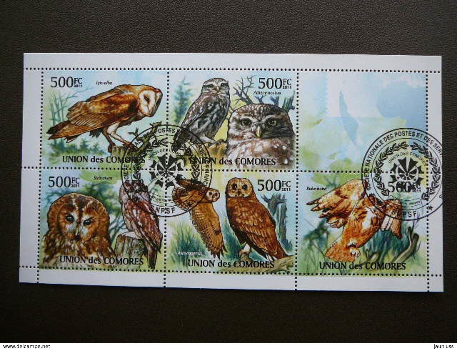 Owls. Eulen. Les Hiboux # Comoros # 2011 Used S/s #552 Comores Birds - Owls